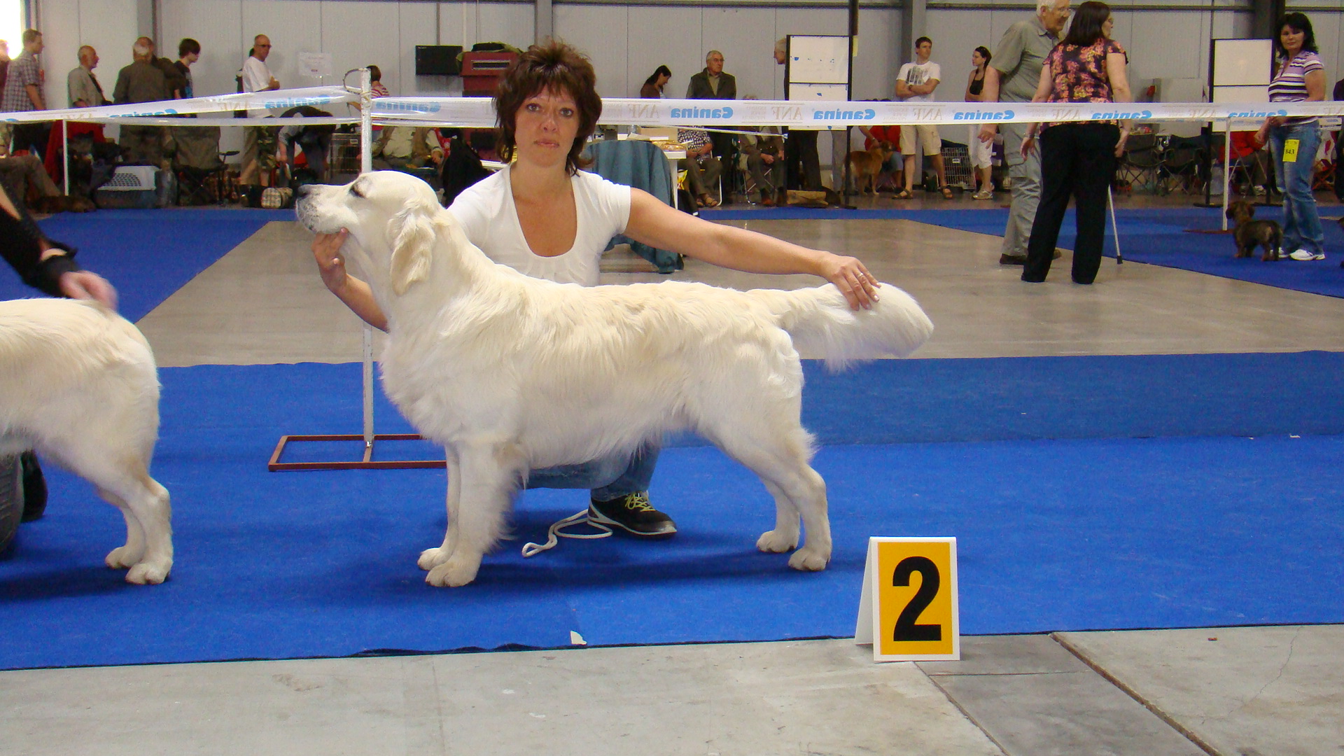 Res.CACIB