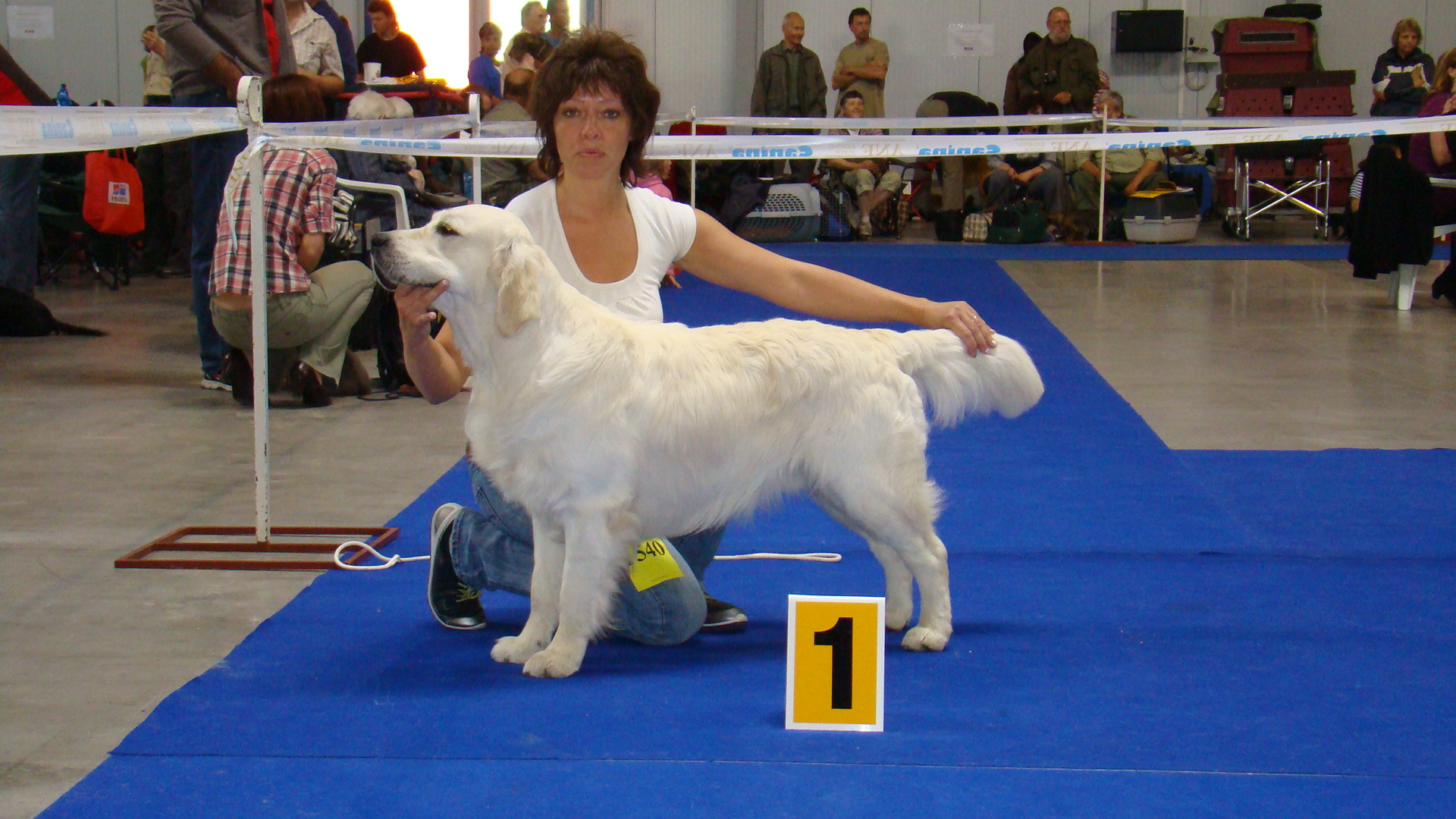 DSC02908-2