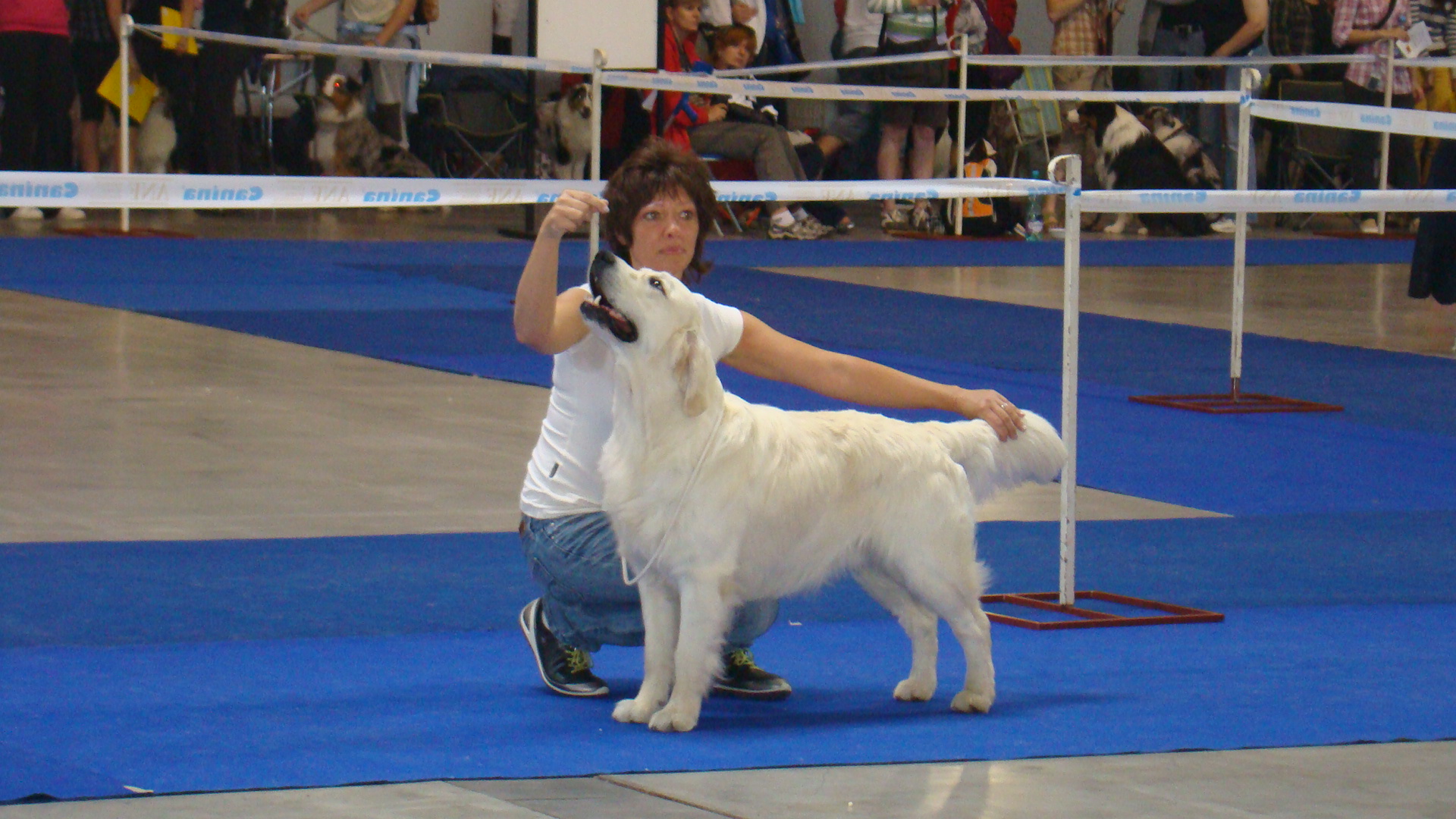 DSC02903-4